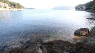 Enjoy The Silence - Brbinj