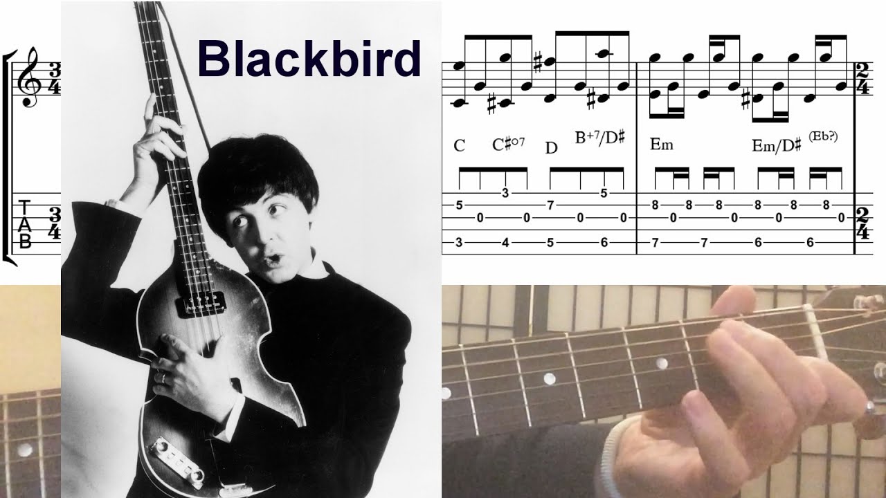 Blackbird Fingerstyle Guitar Etude (Notes+Tabs+Chords) The Beatles
