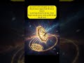 सुदर्शन चक्र: भगवान विष्णु की शक्ति जो समय और अंतरिक्ष पर शासन करती है!” 🌌⚡