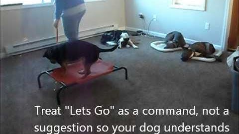 Place Command Introduction