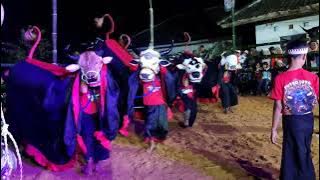 DJ BLITAR & GOYANG GAYENG❗❗ BANTENGAN PUTRO JOYO LEMBU GIMBLAH