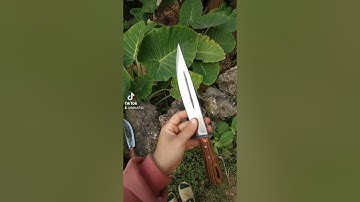 Dao găm nào các bác ơi. #Dao_phúc_sen #daophucsencaobang  #dao_mèo #dao || zalo 0868722510