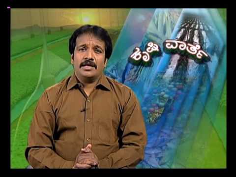 Krishi Varthe 17 11 16 1 chandanagar hyderabad