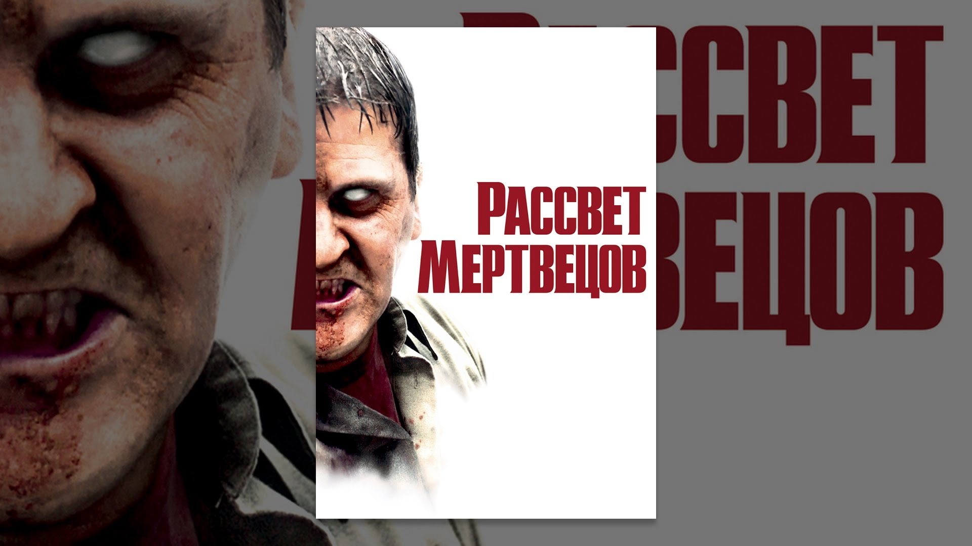 Реле рассвет 10