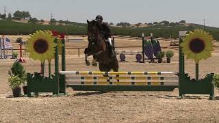 Julie Boyer &amp; (Traverton) - Twin Rivers June 2025 - Show Jumping
