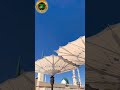 Its Saqib Shah Official рџ Its Saqib Shah Official рџ