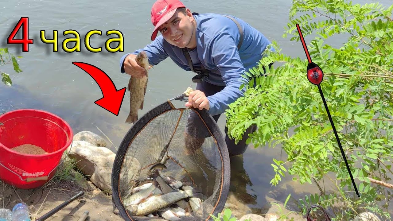 Риболов на ПЛУВКА с БОЛОНЕЗА! Летни СКОБАРИ и МРЕНИ с Петко! Какво хванах за 4 часа по река Струма?