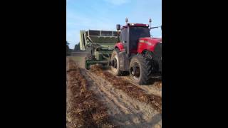 Peanut picking
