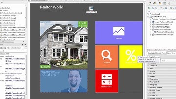 EmbarcaderoTechnology Partner Spotlight - DevExpress VCL Controls