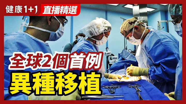 全球2个首例“异种移植”！详解移植手术的流程、风险与伦理争议 | 健康1+1 · 直播 - 天天要闻