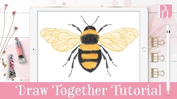 How to draw a Bee step by step in Procreate Tutorial