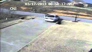 Newspaper Thief
