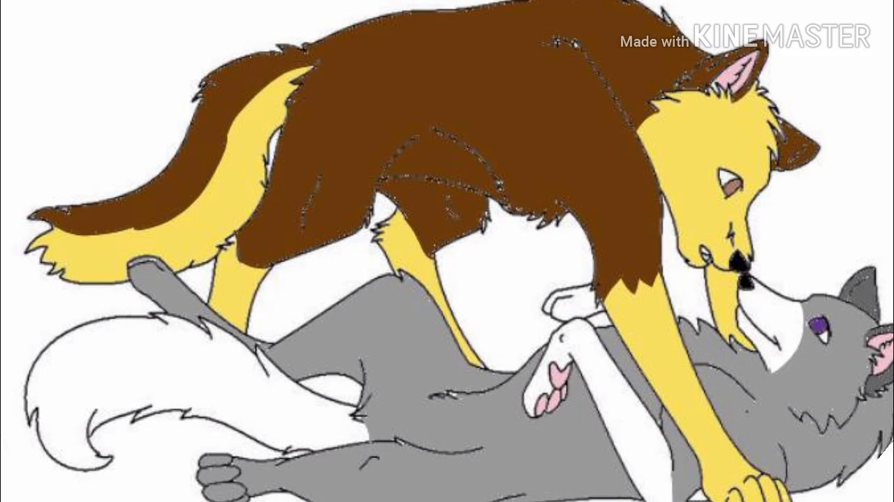 camera iphone 8 plus apk 💝Гонщик и Буря💝