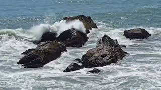 The Sea Ranch, northern Sonoma Coast California - June 1, 2026