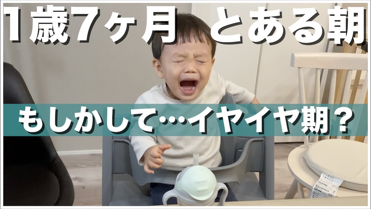 密着 1歳8ヶ月男の子のお昼寝後 夜寝るまで プチイヤイヤ期 Youtube
