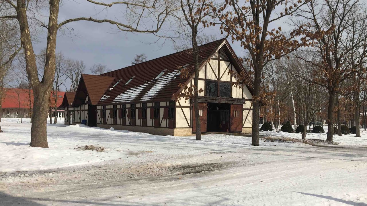 歡喜就好 伴奏男key