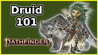 DRUID CLASS GUIDE  PATHFINDER SECOND EDITION