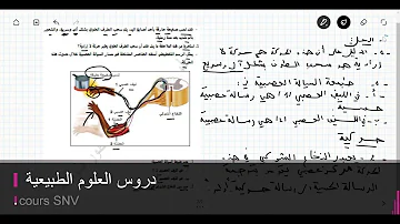 الاعضاء الفاعلة في الحركة الارادية Mp3