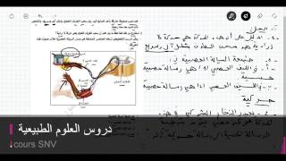 تمرين الاعضاء الفاعلة في الحركة اللاارادية علوم الطبيعة و الحياة
