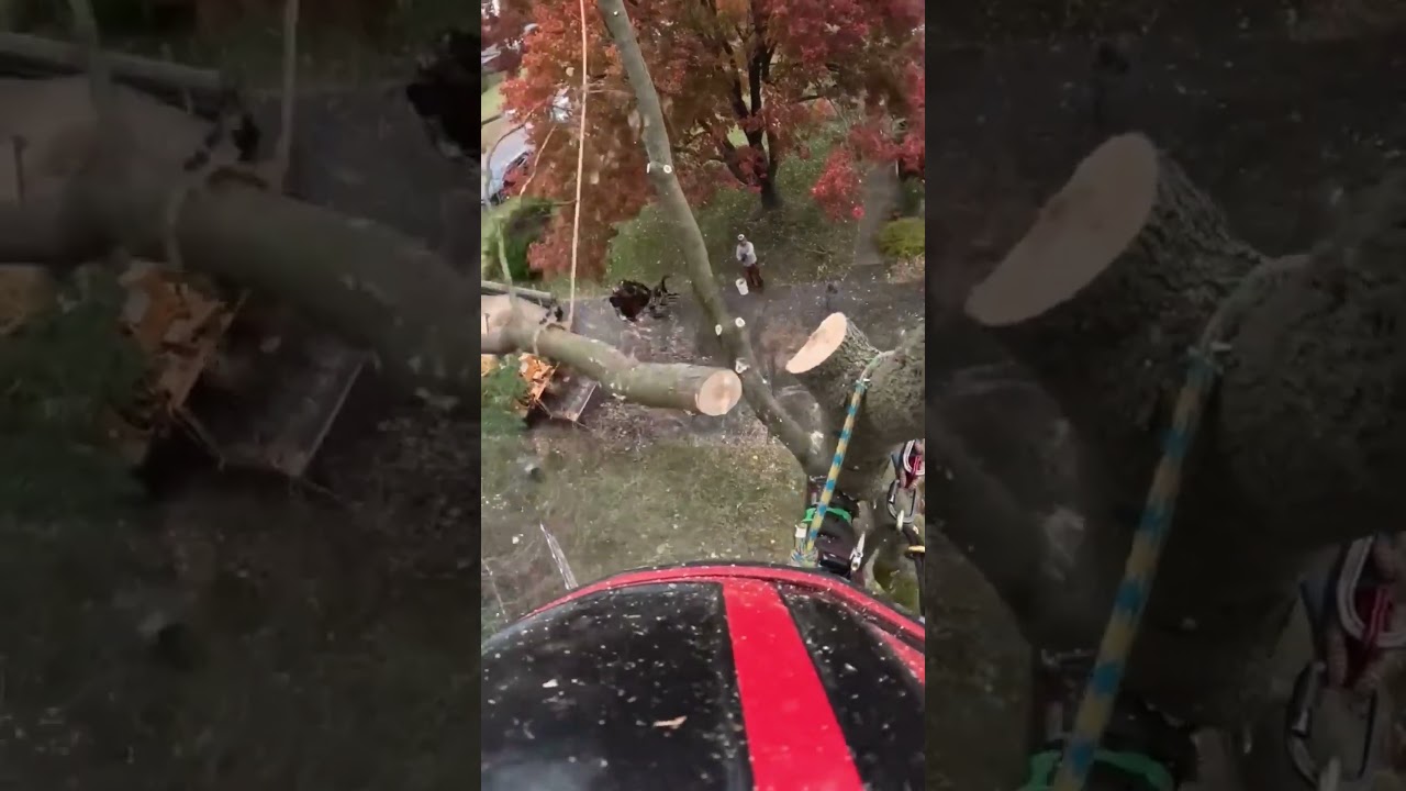 Controlled Rigging for Perfect Limb Drops