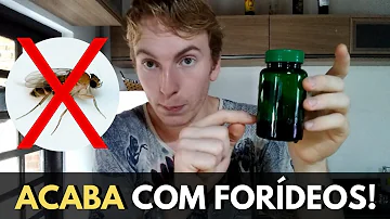 Como proteger a colmeia de Forídeos?