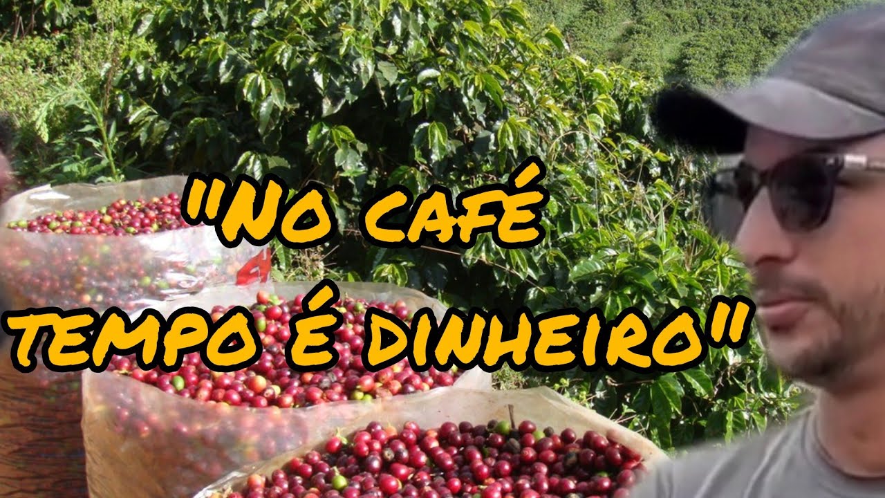 “Café não dá prejuízo — o produtor atrasado dá”