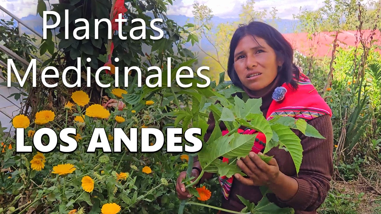 La Mujer de la Medicina En Los Andes Muestra su Jardín de Plantas Medicinales