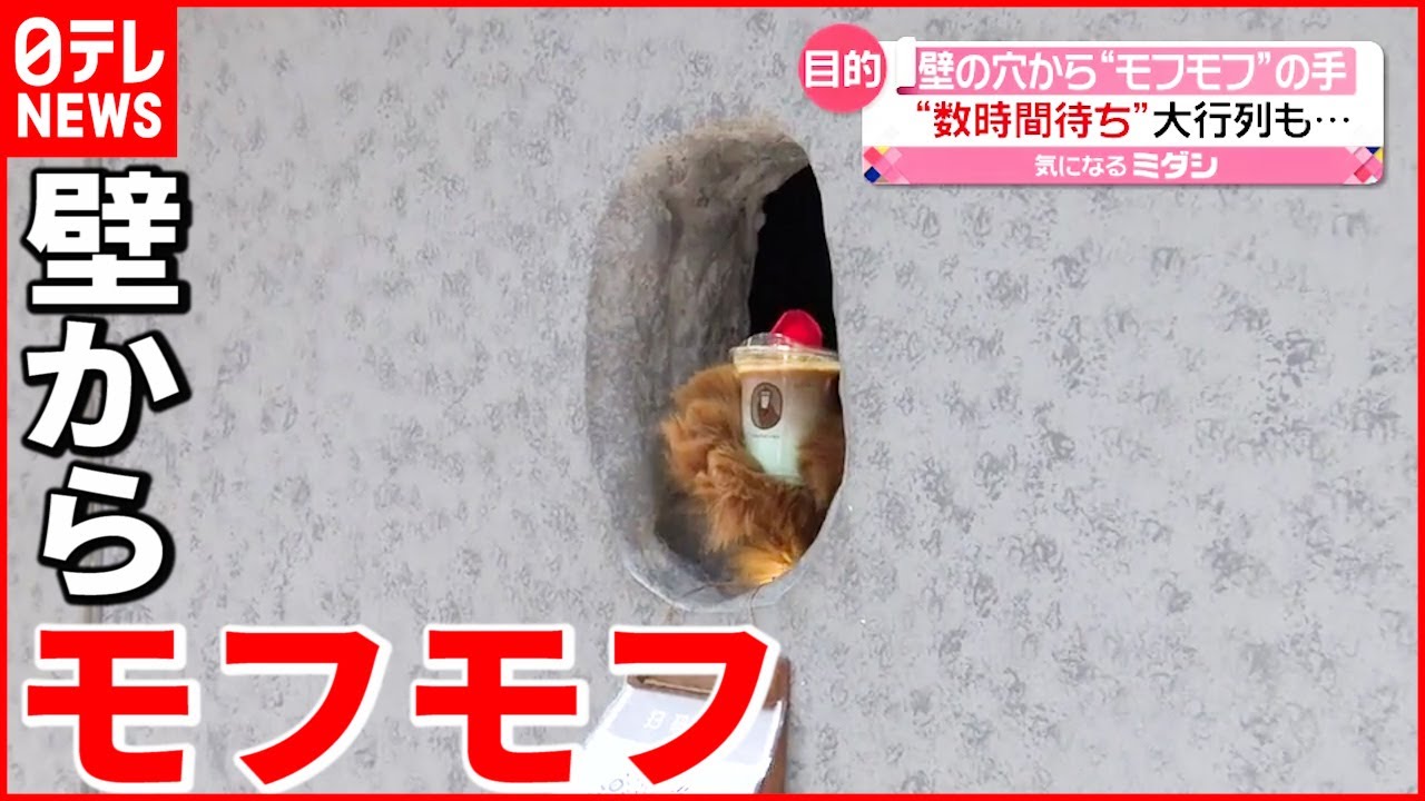 大人気】熊の手カフェ “モフモフの手”の特別な理由とは？ - YouTube