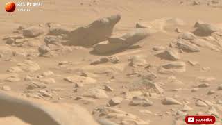 Perseverance Rover Sol : 1075 || Mars New Real Footage || Live Mars New 4k Video || Curiosity Rover