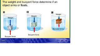 N13.3 Buoyancy