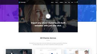 Concept Seven Responsive Multipurpose WordPress Theme      Cree Braid
