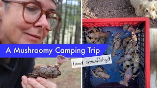 A Mushroomy 4Runner Camping Trip, pt 2: the foray, camp cocktails, pasta + a surprise crawfish boil