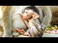 Dito is baby monkey but He has a big ang long penis