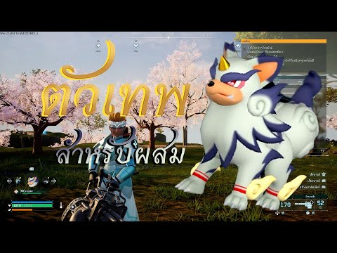 Palworld - The God of Breeding Yakumo, complete information in one clip.