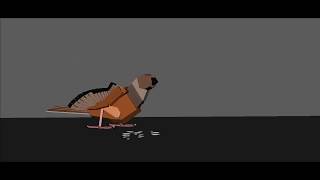Boxy Bird Animation screenshot 3