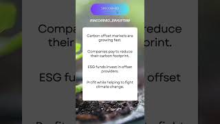 The Hidden Opportunities in Carbon Offsets | Sustainable and ESG Investing