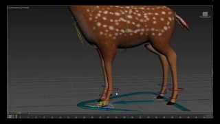 deer rig demo 3ds max