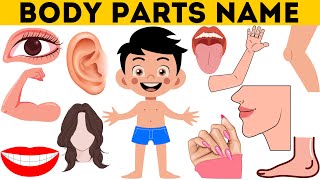 Human Body Parts Name | Learn Body Parts Name English With Pictures | 30 body parts name in english