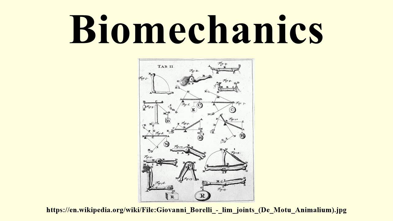 Biomechanics