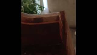 12 string coffin guitar 6 string wine box. Guitar part 2