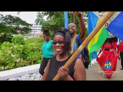 NCU International Diversity