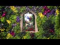 Ждем открытия Chelsea Flower Show 2020 - главную международную выставку цветов и садов!