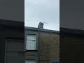 Banging Noise Campaigns round the corner when I open the front window or door (12.37)Saterday 9.5.26