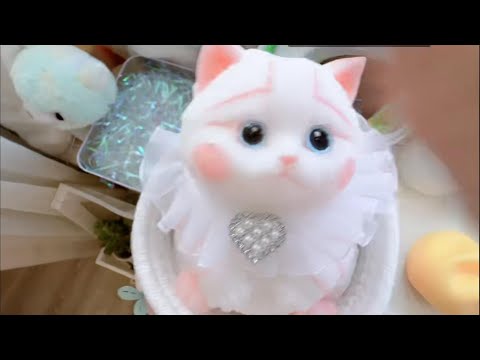 助眠ASMR 女孩最喜欢打小猫屁股