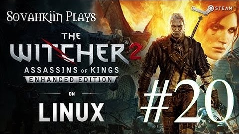 Sovahkiin Plays on Linux: Witcher 2 - Episode 20