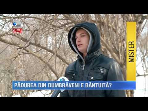 Video: La Pădurea Din Față