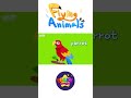 Kids vocabulary - Flying Animals - Learn English for kids - English educational video #shorts