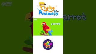 Kids vocabulary - Flying Animals - Learn English for kids - English educational video #shorts