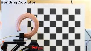 Fiber Reinforced Actuators (motions)
