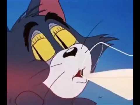  Sad  Edit  Tom  And Jerry   YouTube